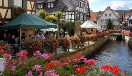 La Bachanlage à Oberkirch